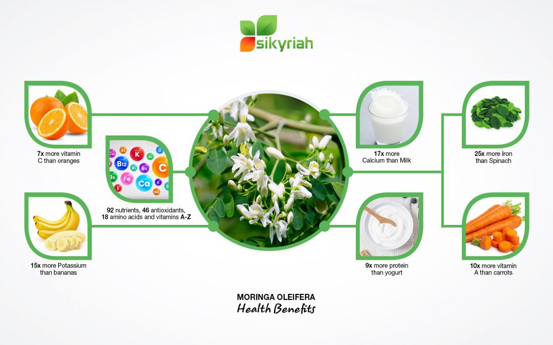 MORINGA, THE GREEN SUPERFOOD TO BOOST YOUR DAILY IMMUNITY!
