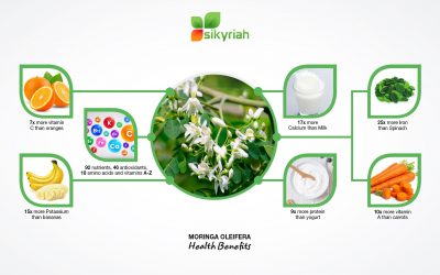 MORINGA, THE GREEN SUPERFOOD TO BOOST YOUR DAILY IMMUNITY!